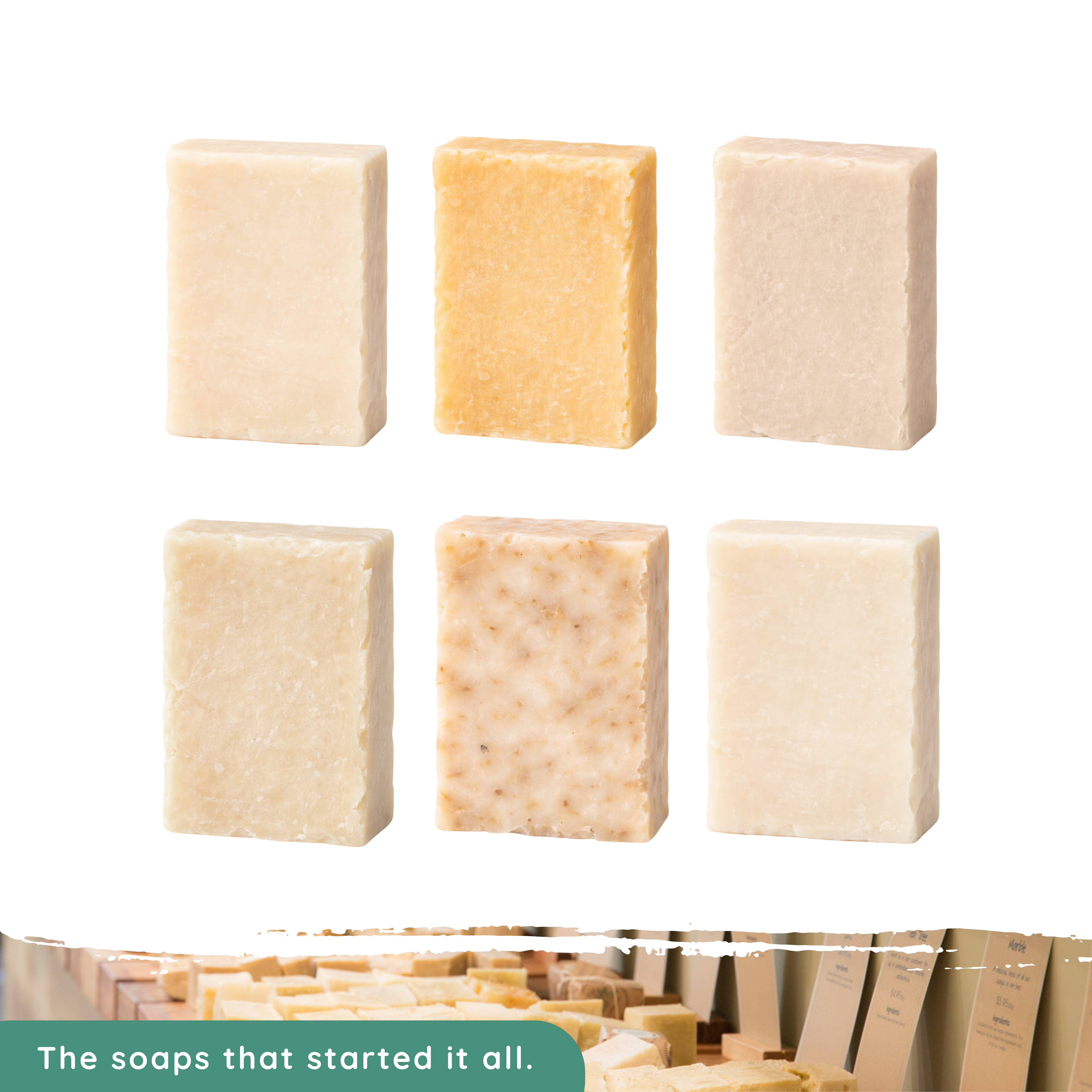 Special Late Summer Edit Bundle