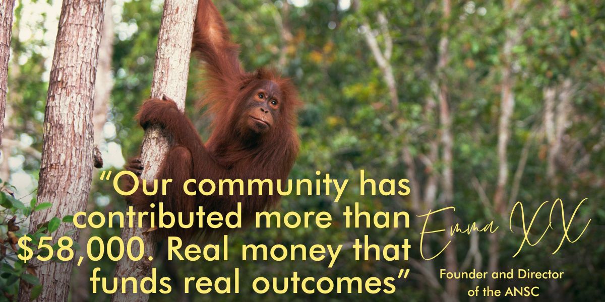 Why We Choose Palm Oil Free: Our Story, Our Pride, Our Impact