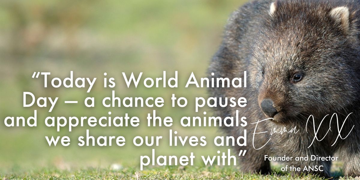 On World Animal Day we get to decide what kind of difference we make.