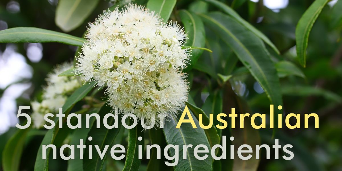 Native Ingredients That Make Australian Skincare Extraordinary