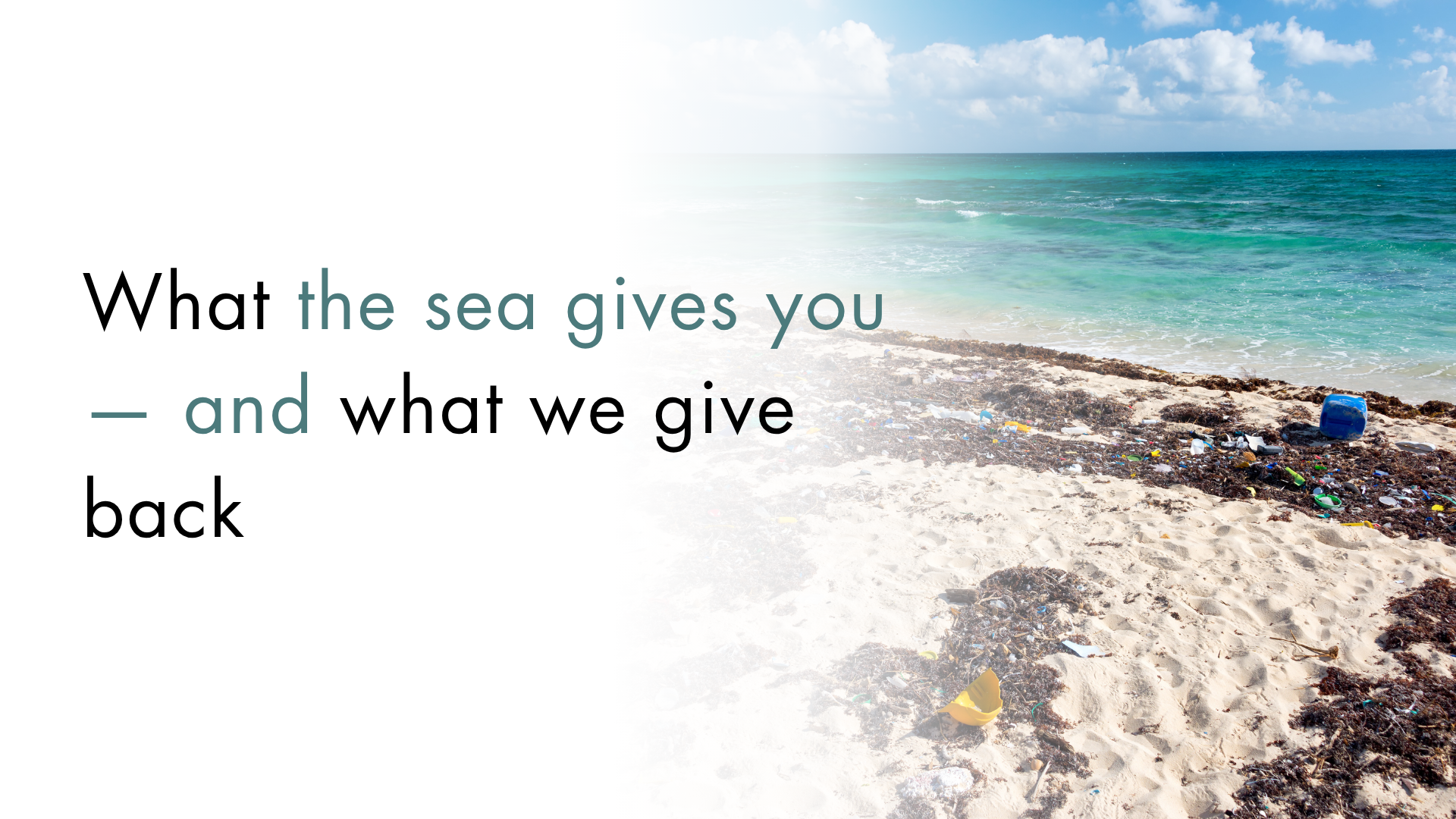 What the sea gives you — and what we give back