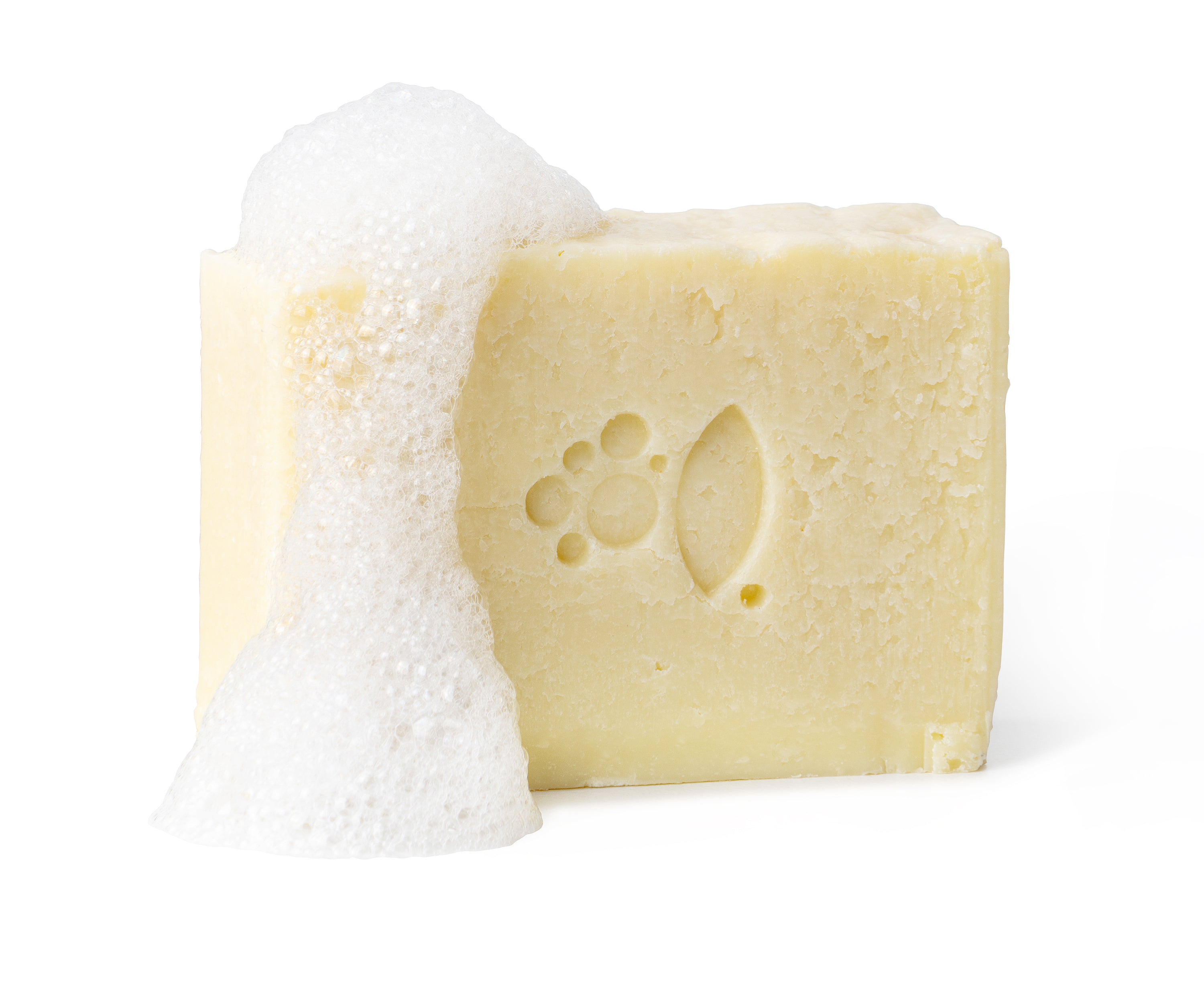 Solid Dog Shampoo