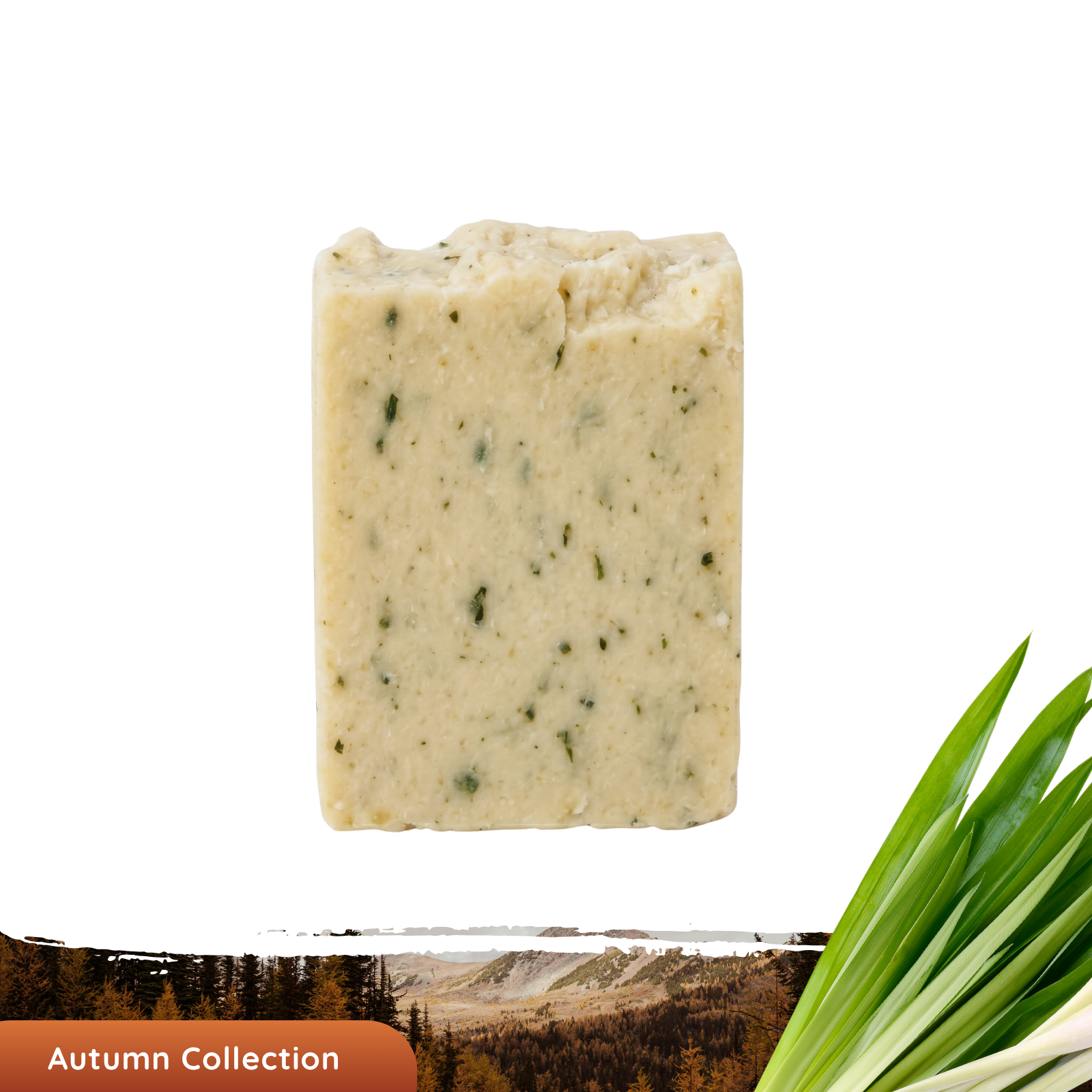 Limited Edition: Lemongrass and Ginger Tea Soap